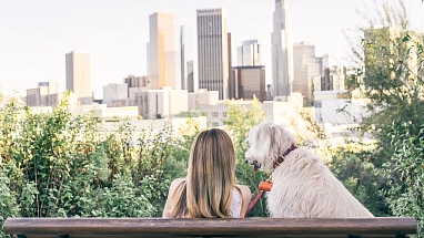 A woman sits with a dog on a bench in front of city buildings
