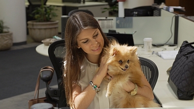 Associate with Dog at Work