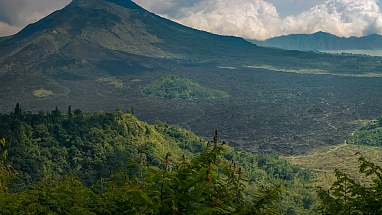 Deforestation Overview