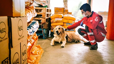 Mars delivers donations to a dog shelter Italy and an Italian Red Cross volunteer kneels down to pet a dog.