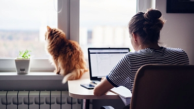 Mars Associate works in her home office spending quality time with her cat.