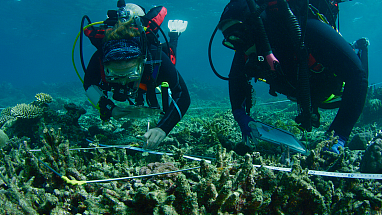 Two scuba divers undertake a scientific survey to install reef stars to Australia's Moore Reef.