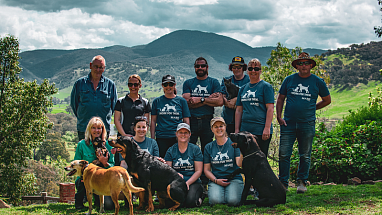 Mars Petcare™ Associates in Australia recently spent 880 hours volunteering with shelters and animal rescues in a single day