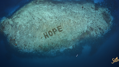 Hope for coral reefs and a more sustainable future