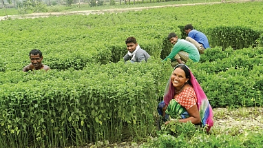 A 2021 update on our COVID-19 response: Where we are today