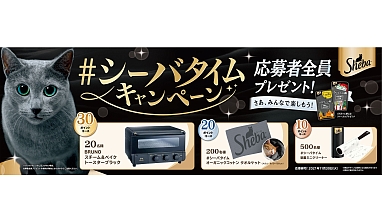 Sheba Champagne Main Image