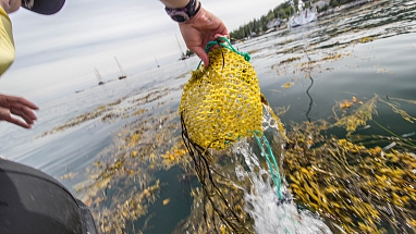 Matt Diiusto Rozalia_0.jpg