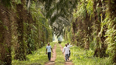 Three men walking down a road in a forest.