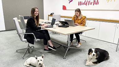 Mars_Petcare_Kollege_Hund_Higgins Flora