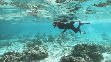 Mars_Petcare_Sheba_Hope_Ambassador_3