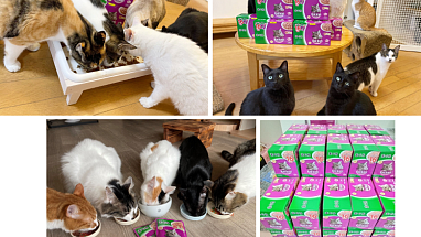 Mars Kalkancampainresult_780