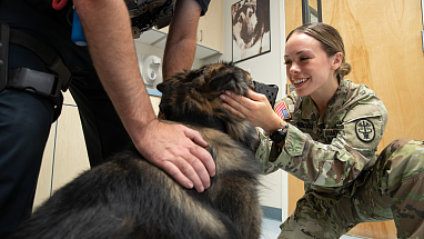 Military lady petting dog