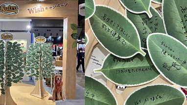 Mars Interpets2024after_HERO