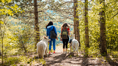 Two women walking in the forest with their dogs