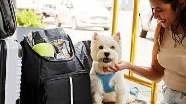 Cesar x TripAdvisor Partnership