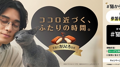 Mars Sheba_cp_HERO_20240531