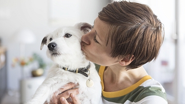 Pandemic Pet Population Boom