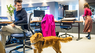 Stefan Klockaerts at the Mars office in Belgium, with his colleague’s dog GusGus