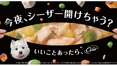 Mars Cesar_Camp_20240701_Main