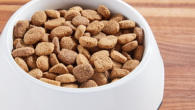 Dog food bowl