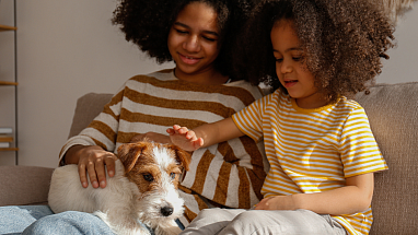 Two children petting a dog on a couch