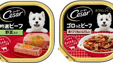 シーザートレイ2種（小） banner