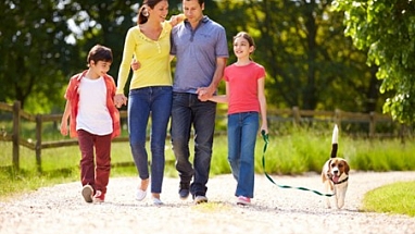 Dia Nacional dos Animais