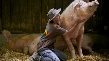 Mars Petcare PM deutscher