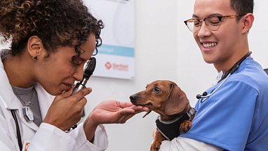 Banfield vet with dog