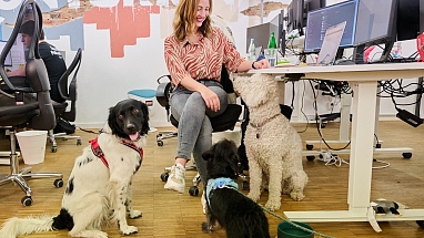 Kollege Hund 2025 Deutscher Tierschutzbund Contorion STIER