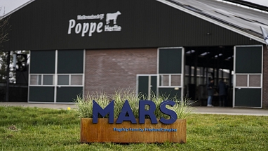 Mars Flagship Dairy Farm