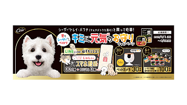 CesarCP Hero_20250530