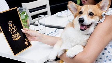 CESAR Restaurant Weekend returns for a second year, continuing in New York and expanding to Los Angeles, Chicago and Nashville