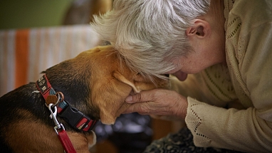 seniorka przytulająca psa podczas zajęć dogoterapii organizowanych przez Mars Polska i Fundację Dr Clown