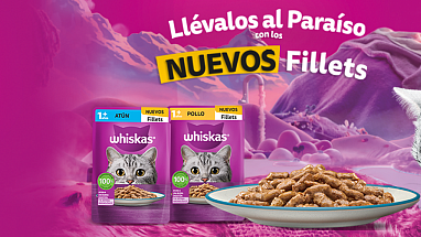 NOVA FILLETS 2026 MX