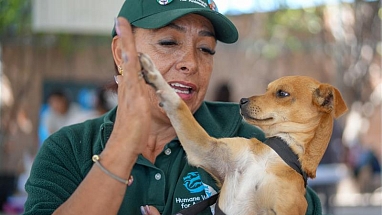 MARS IMPACT FUND MEXICO 2026