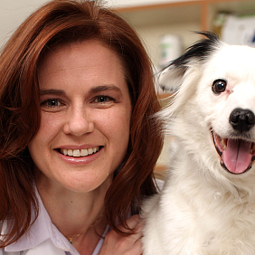 A veterinarian holding a dog at Banfield Pet Hospital