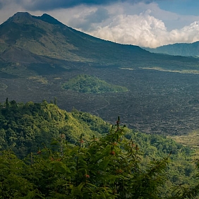 Deforestation Overview