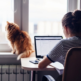 Mars Associate works in her home office spending quality time with her cat.