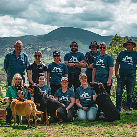 Mars Petcare™ Associates in Australia recently spent 880 hours volunteering with shelters and animal rescues in a single day