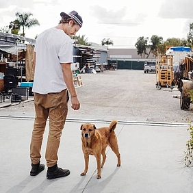 A pet owner and his dog spending quality time with each other.