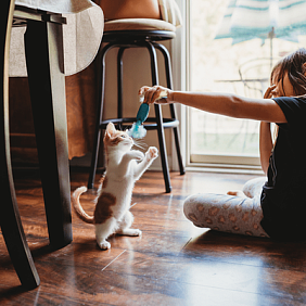 A child playing with a kitten