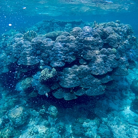 Building a sustainable ocean economy