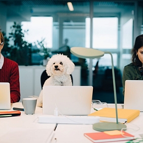 At Mars, we’ve been pet-friendly for more than 10 years—and loved every minute. 