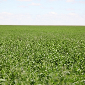 Food Safety Coalition kicks off ahead of UN Food Systems Summit