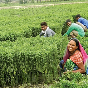 A 2021 update on our COVID-19 response: Where we are today