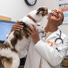 Banfield vet smiling and holding a dog in exam room