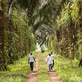 Three men walking down a road in a forest.