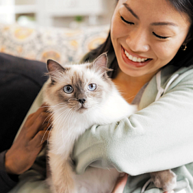 Couple holding a kitten