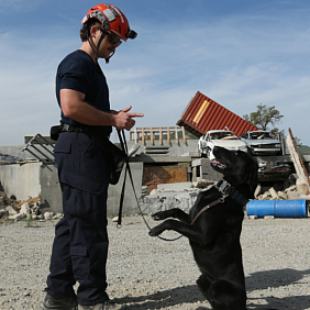 LA County Fire Department Search and Rescue team member training a dog
